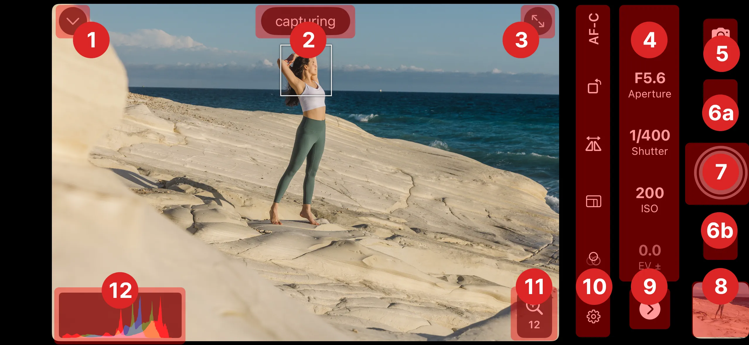 Remote control annotated layout with main sections like the shutter button, exposure controls and status bar highlighted