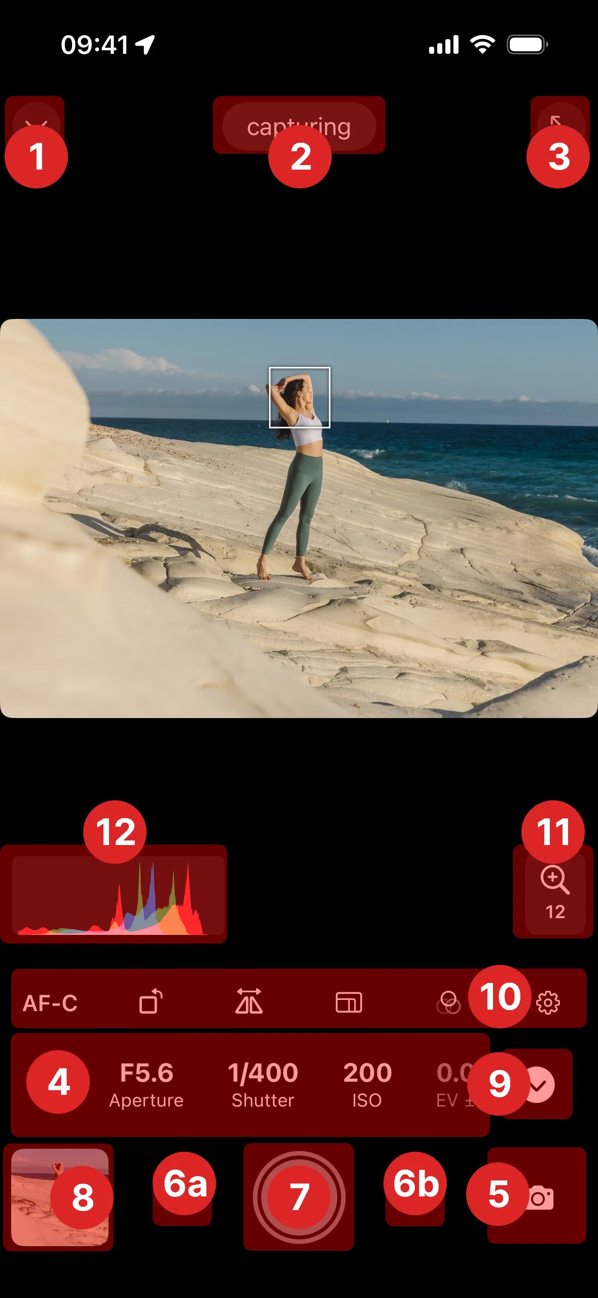 Remote control layout in portrait view annotated with main sections like the shutter button, exposure controls and status bar highlighted
