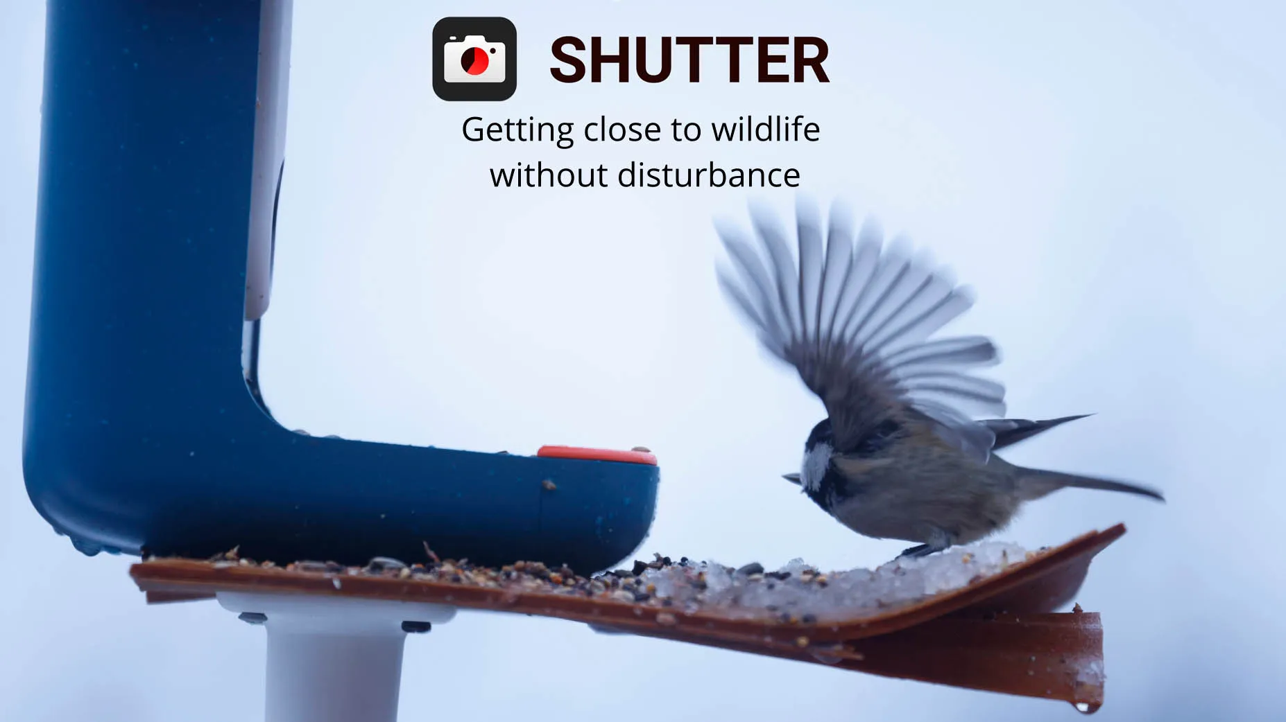 How our camera remote control app can help you get closer when photographing wildlife