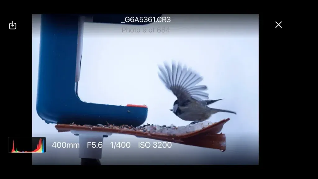 Full screen preview in Shutter