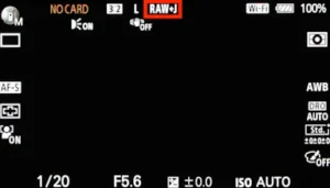 Instructions for connecting a Sony camera to Shutter.