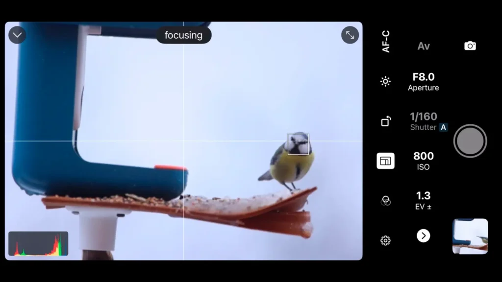 Tap to Focus on Shutter - Camera Remote Control App